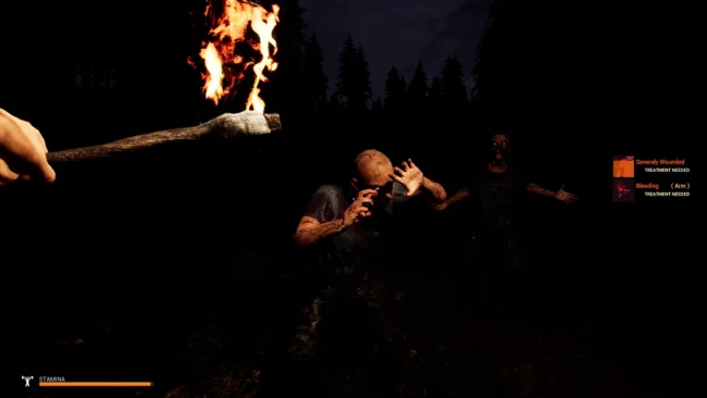 Mist Survival free download pc
